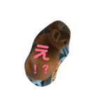 れおくんです。Part.3（個別スタンプ：4）