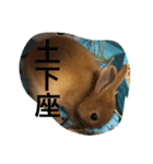 れおくんです。Part.3（個別スタンプ：5）