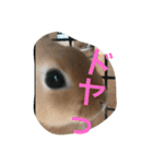 れおくんです。Part.3（個別スタンプ：7）