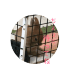 れおくんです。Part.3（個別スタンプ：9）