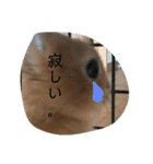 れおくんです。Part.3（個別スタンプ：12）