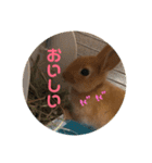 れおくんです。Part.3（個別スタンプ：13）