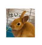 れおくんです。Part.3（個別スタンプ：14）