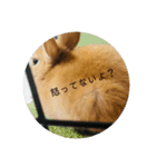 れおくんです。Part.3（個別スタンプ：16）