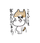 それいけ！しらすくん。（個別スタンプ：15）