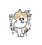 それいけ！しらすくん。（個別スタンプ：16）