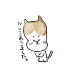 それいけ！しらすくん。（個別スタンプ：17）