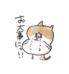 それいけ！しらすくん。（個別スタンプ：29）