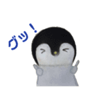 水曜日のペンギンくん  2（個別スタンプ：2）