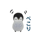 水曜日のペンギンくん  2（個別スタンプ：6）
