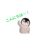 水曜日のペンギンくん  2（個別スタンプ：15）