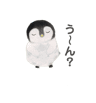 水曜日のペンギンくん  2（個別スタンプ：16）