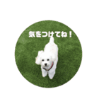 suumin_1（個別スタンプ：3）