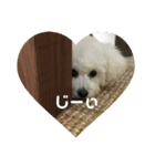 suumin_1（個別スタンプ：8）