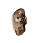 ティアコグのごあいさつ（個別スタンプ：1）