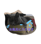 ティアコグのごあいさつ（個別スタンプ：5）