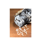 あずきと愉快な仲間たち（個別スタンプ：6）
