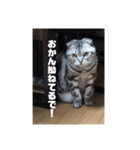 あずきと愉快な仲間たち（個別スタンプ：14）