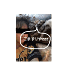 あずきと愉快な仲間たち（個別スタンプ：21）