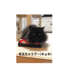 あずきと愉快な仲間たち（個別スタンプ：23）