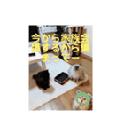 あずきと愉快な仲間たち（個別スタンプ：24）