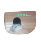 まいにちラルちゃん（個別スタンプ：2）