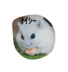 まいにちラルちゃん（個別スタンプ：4）