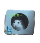 まいにちラルちゃん（個別スタンプ：6）