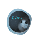 まいにちラルちゃん（個別スタンプ：8）