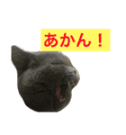たろはなごえ（個別スタンプ：4）
