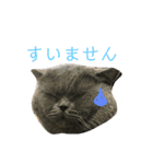 たろはなごえ（個別スタンプ：6）