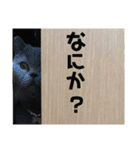 たろはなごえ（個別スタンプ：9）