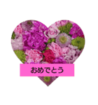 わんこでごあいさつ（個別スタンプ：8）