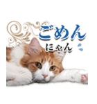 スピ猫シャルル様（個別スタンプ：4）