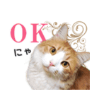 スピ猫シャルル様（個別スタンプ：7）