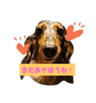 ダックスその他の愉快な仲間たちの日常6（個別スタンプ：2）