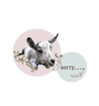 ミニヤギ´( θ ω θ )`（個別スタンプ：8）
