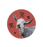 ミニヤギ´( θ ω θ )`（個別スタンプ：16）