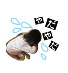 芽依の大冒険（個別スタンプ：6）