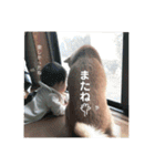 みったんスタンプ③（個別スタンプ：11）