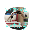 ともやすがつかうやーつー（個別スタンプ：10）