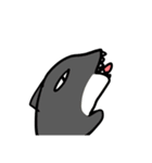 カラフルな動物たち！（個別スタンプ：16）