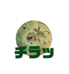 shi・se・n  ー視線ー（個別スタンプ：6）