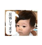 kiku stamp（個別スタンプ：6）