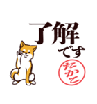 柴犬たかこ（デカ文字）（個別スタンプ：1）