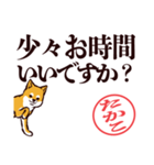 柴犬たかこ（デカ文字）（個別スタンプ：2）