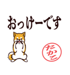 柴犬たかこ（デカ文字）（個別スタンプ：7）