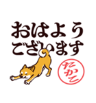 柴犬たかこ（デカ文字）（個別スタンプ：9）