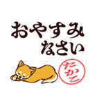 柴犬たかこ（デカ文字）（個別スタンプ：10）