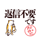 柴犬たかこ（デカ文字）（個別スタンプ：14）